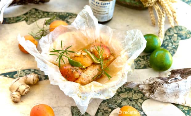 Papillote de saumon aux abricots